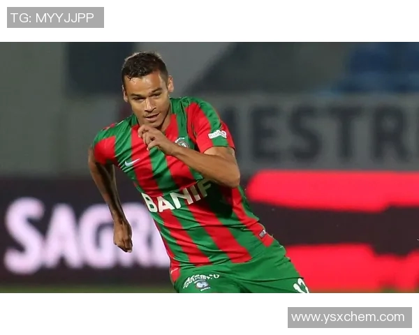 2017年迪纳摩对阵马里迪莫精彩回顾与赛况分析