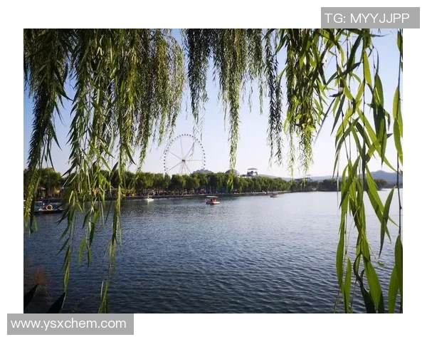 绿城与北控激战正酣精彩直播尽在眼前不容错过的足球盛宴