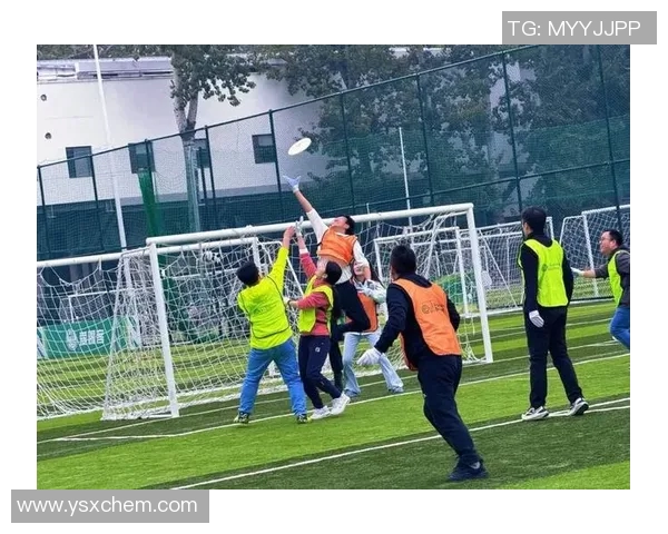 飞盘竞技的魅力与挑战：深入探讨深圳飞盘队的战术与团队协作MBA