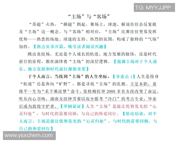 顾全大局，和谐共生：在复杂环境中实现个人与团队的双赢策略