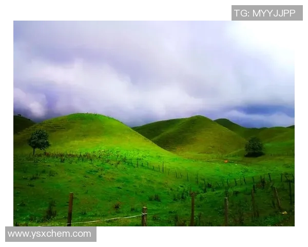 雷法山口与岗山的对决探秘山脉之美与自然奇观的碰撞